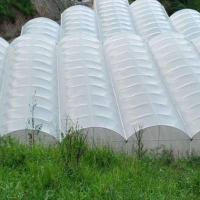 Lona Estufa Filme Difusor 4x100m 150 Micras Uv Dl