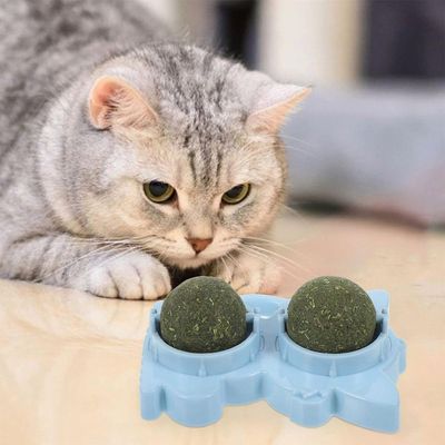 Brinquedo Erva De Gato Pet Menta Bola Bolinha Catnip Natural Animal De Estimaçao Interativo