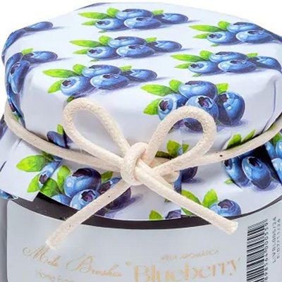 Vela Aromática Geleia De Frutas Perfumada Mels Brushes 85g Blueberry