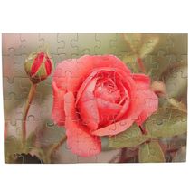 Kit 4 Quebra-cabeças Flores Jardim 60 Peças Educativo
