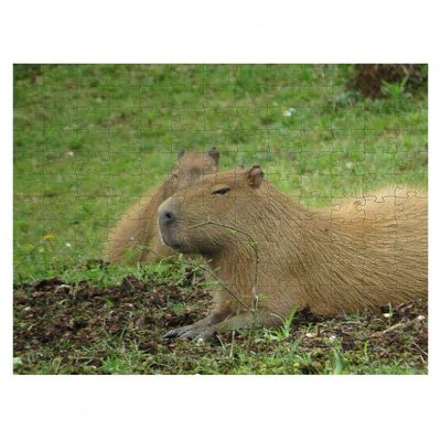 Quebra-cabeça De Mdf Capivara 300 Peças