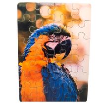 Kit 4 Quebra-cabeças Aves Divertido Educativo 24 Peças
