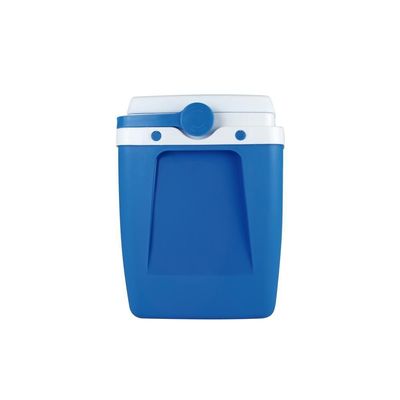 Caixa Térmica 18 Litros 24 Latas Cores Mor Azul