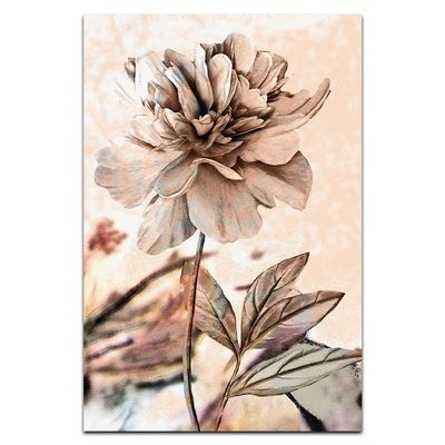 Kit Placas Quadros Decorativos 3 Pçs Mdf 20X30 Floridas Titulo Flores Pastéis