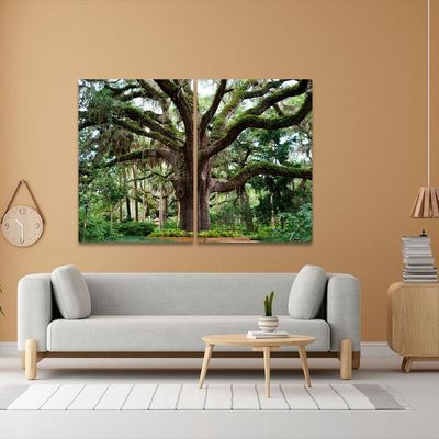Quadro Decorativo Dupla árvore No Parque