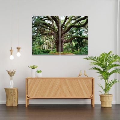 Quadro Decorativo Dupla árvore No Parque