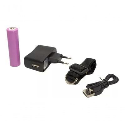 Megafone Amplificador Professor Voz Microfone Radio Fm Usb