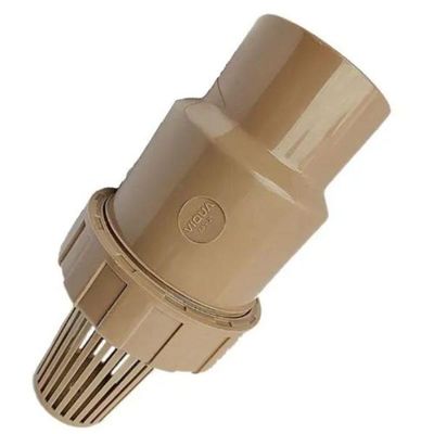 Válvula De Retenção Pvc Roscavel 1 Polegada- Viqua