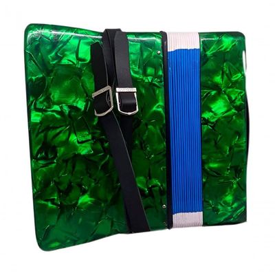 Acordeon Sanfona Infantil Semi Profissional 8 Baixos Verde