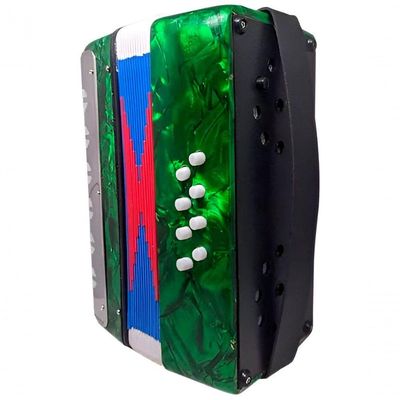 Acordeon Sanfona Infantil Semi Profissional 8 Baixos Verde