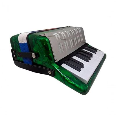 Acordeon Sanfona Infantil Semi Profissional 8 Baixos Verde