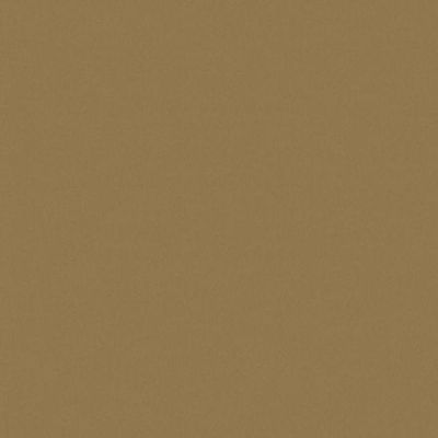 Papel De Parede Rustic Country Pa130507 Vinílico - Rolo 10m X 0,53m