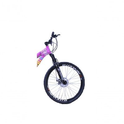 Bicicleta Viking Aro 26 Câmbios Importados 21v Aero Rosa Azul