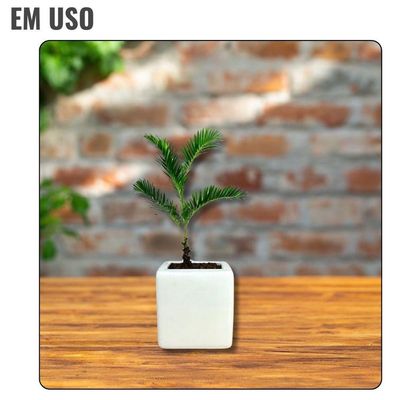 Vaso De Cerâmica Branco Decorativo - 6,5cm X 6,5cm