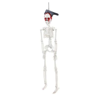 Decoração Halloween Esqueleto Faca Na Caveira Para Pendurar