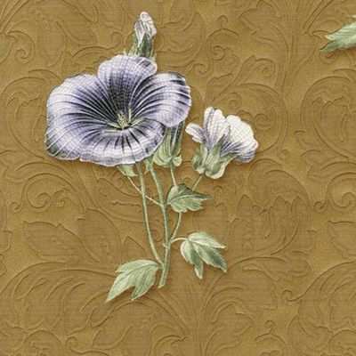 Papel De Parede Italiano Corte Antica 8224 Vinílico Rolo 10m X 0,53m
