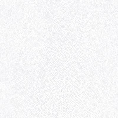 Papel De Parede Natural Fx Lizard Skin G67470 - Rolo: 10m X 0,53m