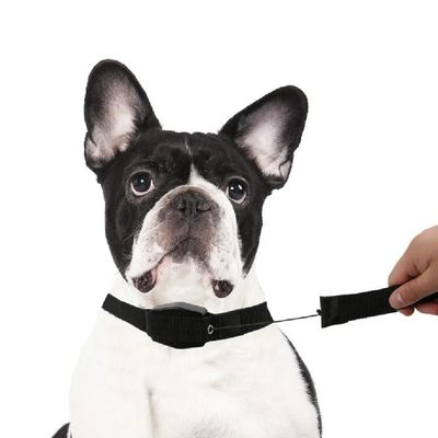 Guia Coleira Magnética Retrátil 2 E 1 Para Cachorros E Gatos -treinamento E Adestramento Lucky Leash