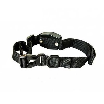 Guia Coleira Magnética Retrátil 2 E 1 Para Cachorros E Gatos -treinamento E Adestramento Lucky Leash