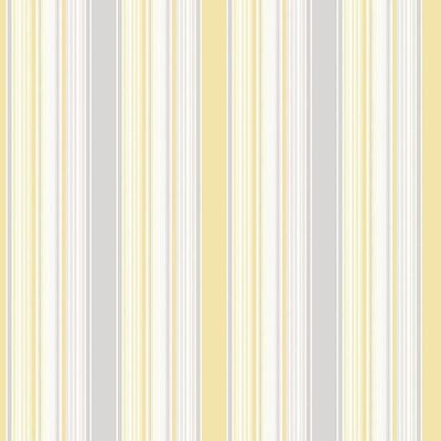Papel De Parede Smart Stripes 2 Listras Coloridas G67532 - Rolo 10m X 0,53m