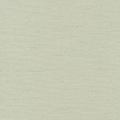 Papel De Parede Texture World H2990206 - Rolo 10m X 0,53m