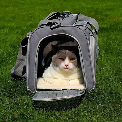 Bolsa De Viagem Para Transporte Pet Verde