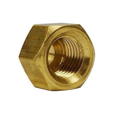 Porca Flange 1-4 Sea 10 Unidades
