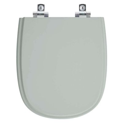 Assento Sanitário Soft Close Donna Verde Claro Para Vaso Santamarina