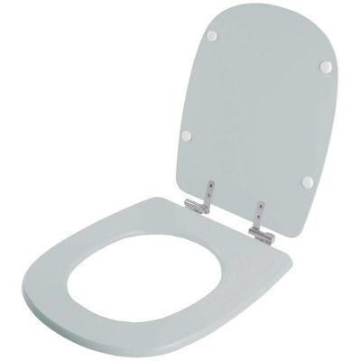 Assento Sanitário Soft Close Donna Verde Claro Para Vaso Santamarina
