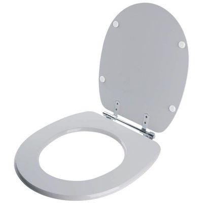 Tampa De Vaso Aspen Cinza Real Para Bacia Deca 6lpf