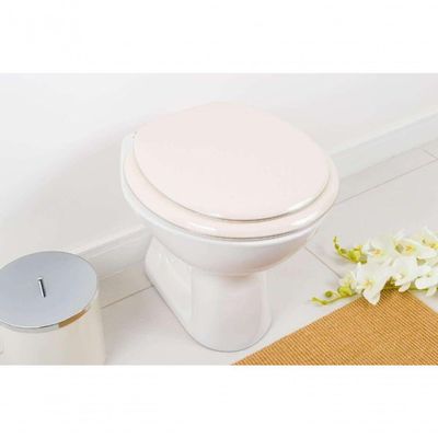 Assento Sanitario Almofadado Sabara Palha (bege Claro) Para Vaso Icasa