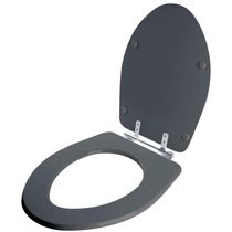 Assento Sanitario Poliester Absolute Cinza Quartzo Para Vaso Ideal Standard