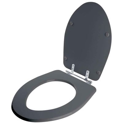 Assento Sanitario Poliester Absolute Cinza Quartzo Para Vaso Ideal Standard
