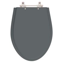 Assento Sanitario Poliester Absolute Cinza Quartzo Para Vaso Ideal Standard