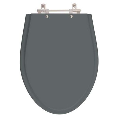 Assento Sanitario Poliester Absolute Cinza Quartzo Para Vaso Ideal Standard