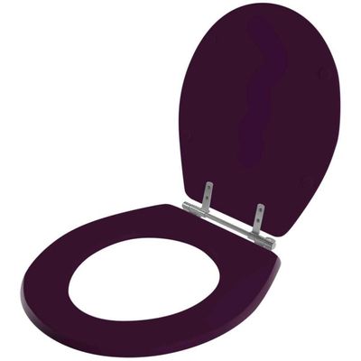 Assento Sanitario Avalon Ametista Para Vaso Ideal Standard