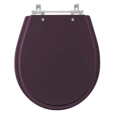 Assento Sanitario Avalon Ametista Para Vaso Ideal Standard