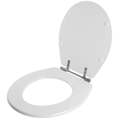 Assento Sanitário Acrílico Ravena Cinza Para Vaso Deca