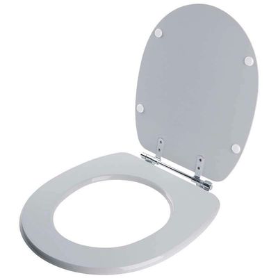 Assento Sanitário Aspen Cinza Real (cinza Claro) Para Vaso Deca