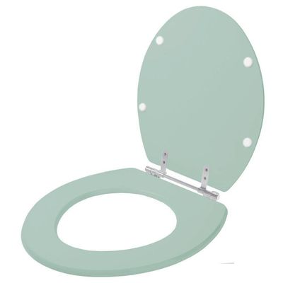 Assento Sanitário Diamantina Verde Claro Para Vaso Icasa