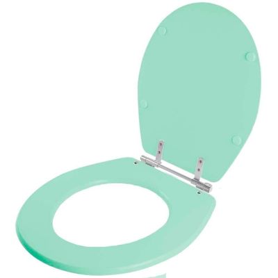 Assento Sanitário Carina Verde Claro Para Ideal Standard