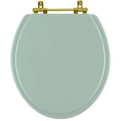 Assento Sanitário Convencional Oval Universal Verde Claro Com Ferragem Dourada
