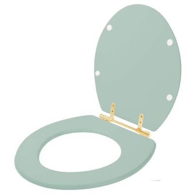 Assento Sanitário Convencional Oval Universal Verde Claro Com Ferragem Dourada