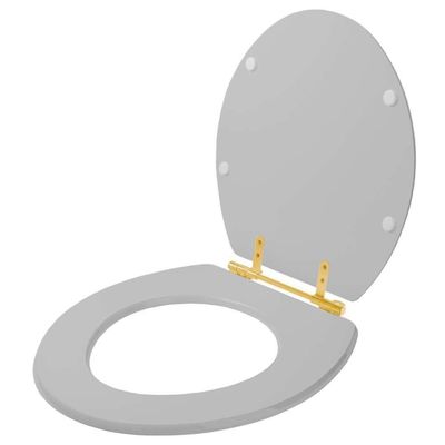 Assento Sanitário Convencional Oval Sterling Silver Para Vaso Ideal Standard Com Ferragem Dourada