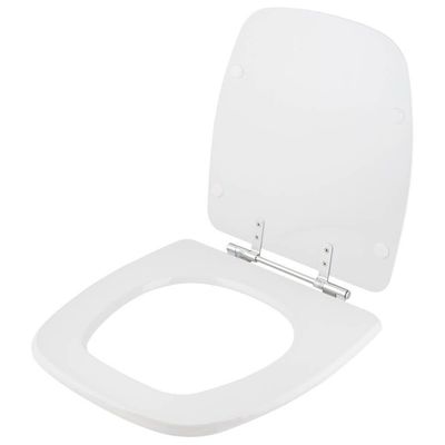 Assento Sanitário Acrílico Flex Branco Para Vaso Deca