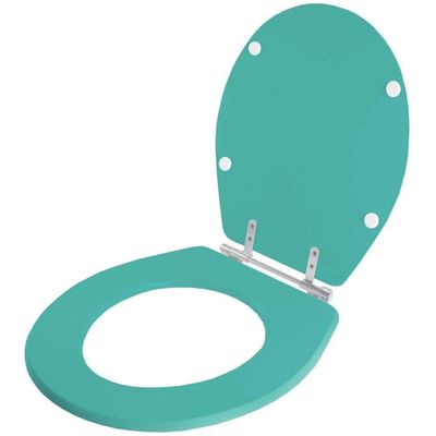 Assento Sanitário Avalon Acquamarine Para Vaso Ideal Standard