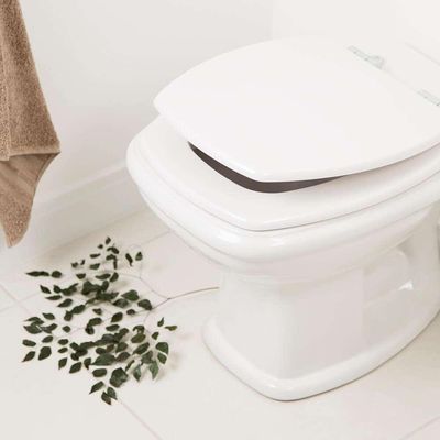 Assento Sanitário Fit Branco Para Vaso Celite