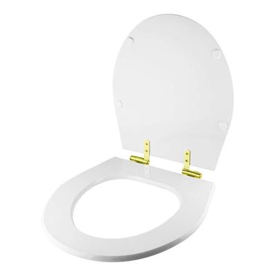 Assento Sanitário Com Fechamento Lento Ritz Branco Para Vaso Deca Com Ferragem Dourada