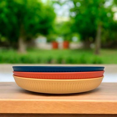 Jogo 12 Pratos De Sobremesa Fibra De Bambu Pp Stripes Cores Sortidas 20cm Lyor