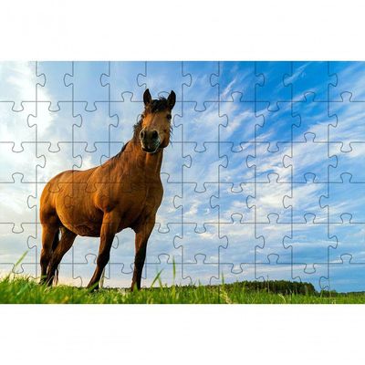 Kit 2 Quebra-cabeças Inclusivos 40 Peças Lindos Cavalos Para Mentes Inteligentes